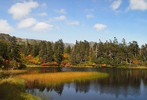 Kougen Onsenn Swamp around Course