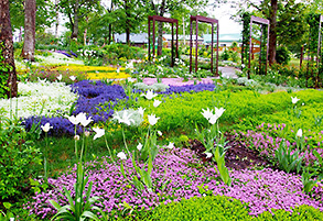 Garden of the Taisetsu forest