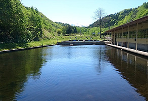 Taisetsu Fishing