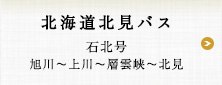 北海道北見バス　石北号（旭川〜上川〜層雲峡〜北見）