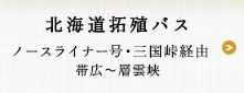 北海道拓殖バス　ノースライナー号（三国峠経由）